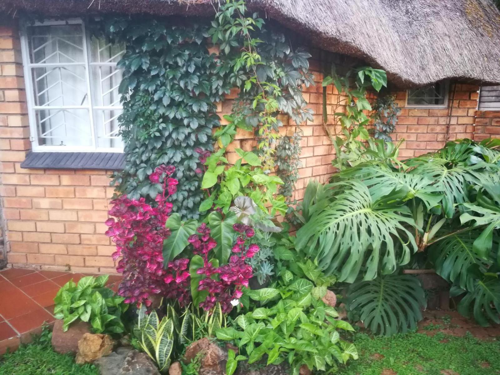 Tree Aloe Guest House Mokopane Cameră foto
