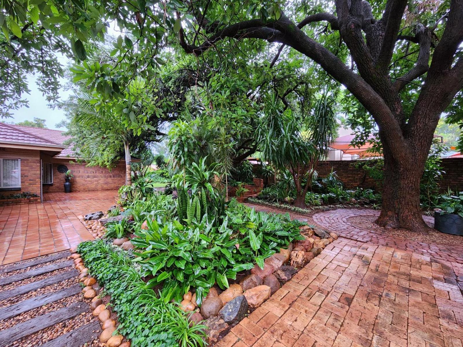 Tree Aloe Guest House Mokopane Exterior foto