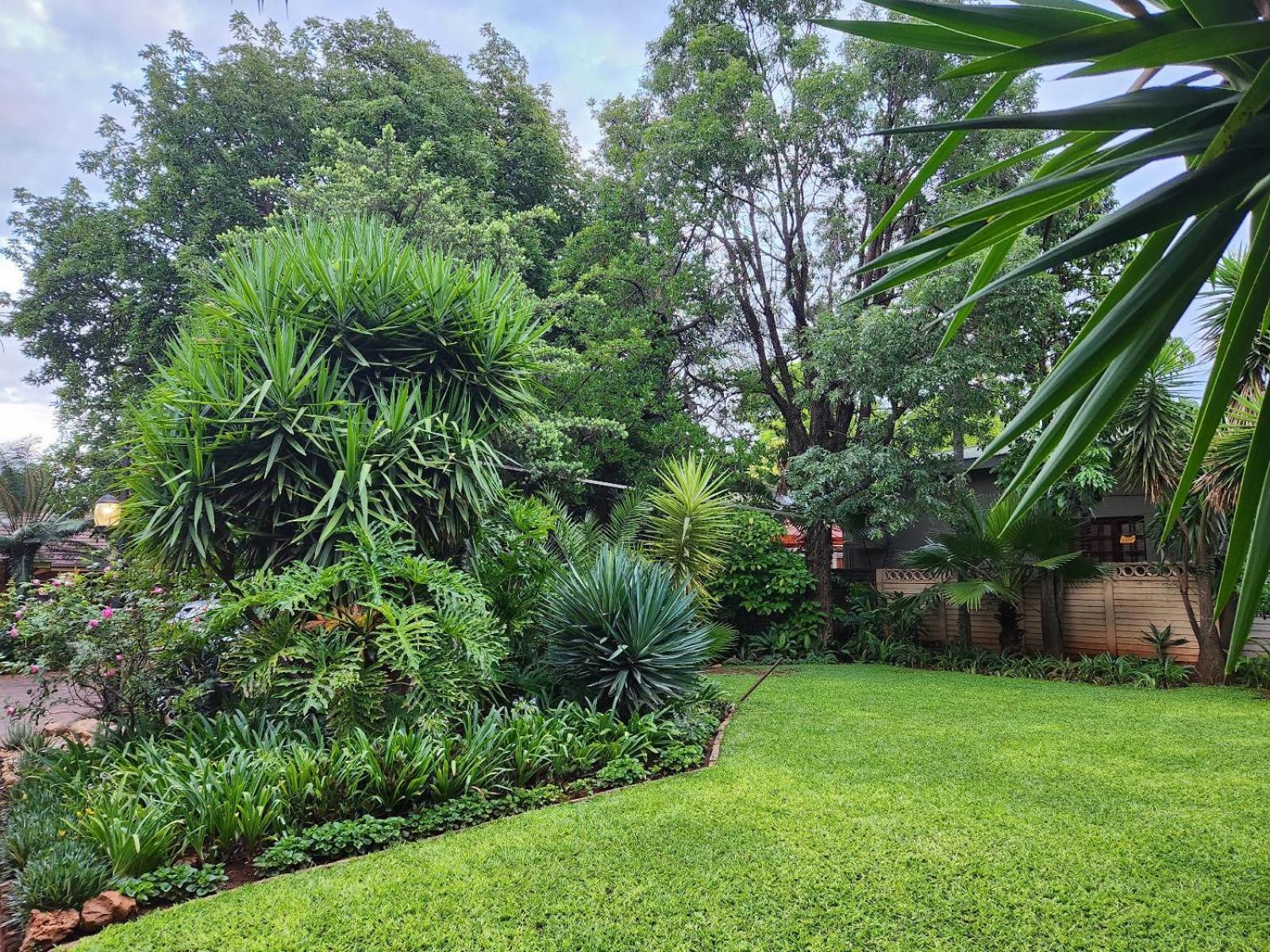 Tree Aloe Guest House Mokopane Exterior foto